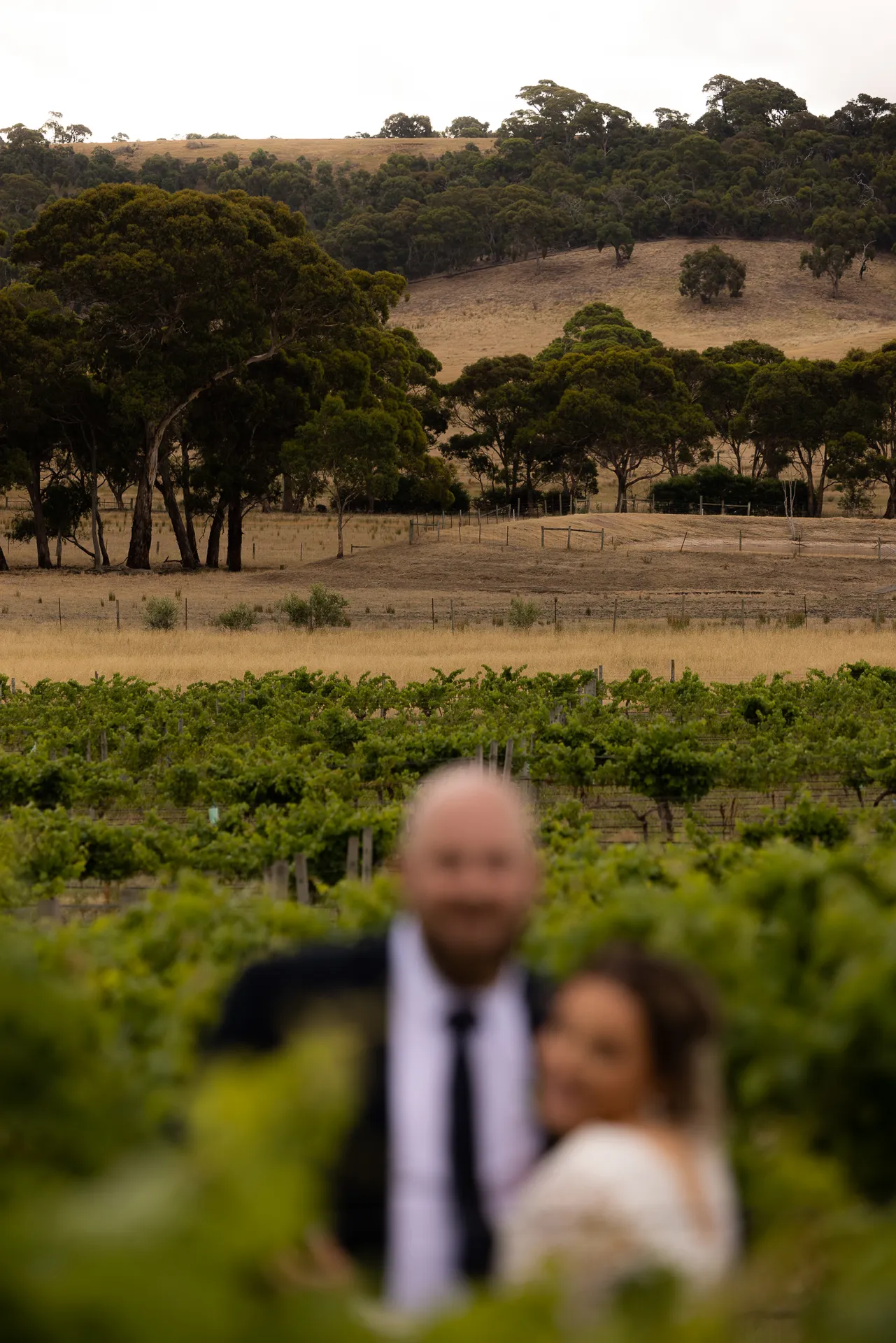 Sarah & Lee, wedding photograph 77