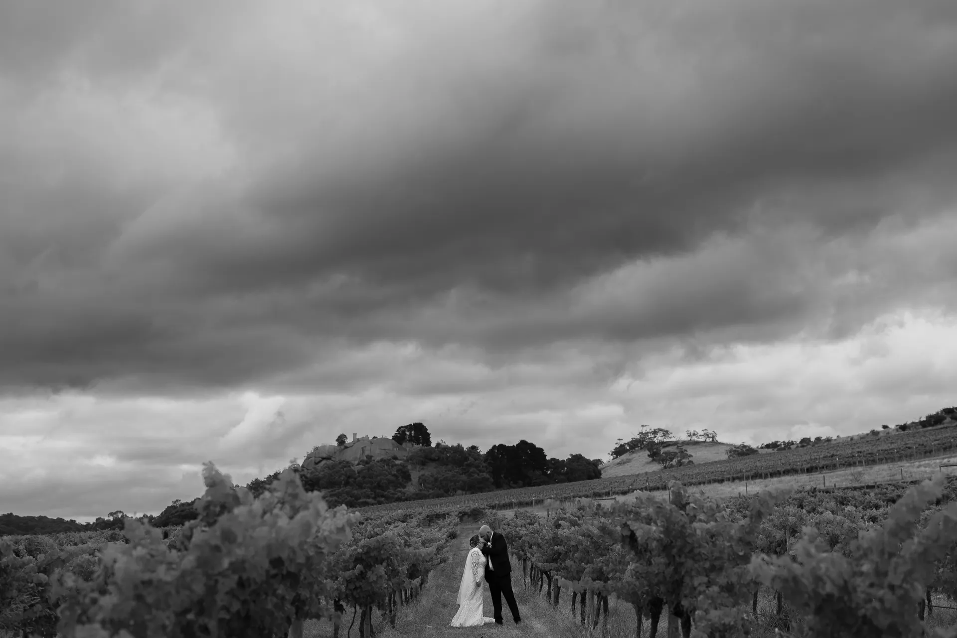 Sarah & Lee, wedding photograph 82